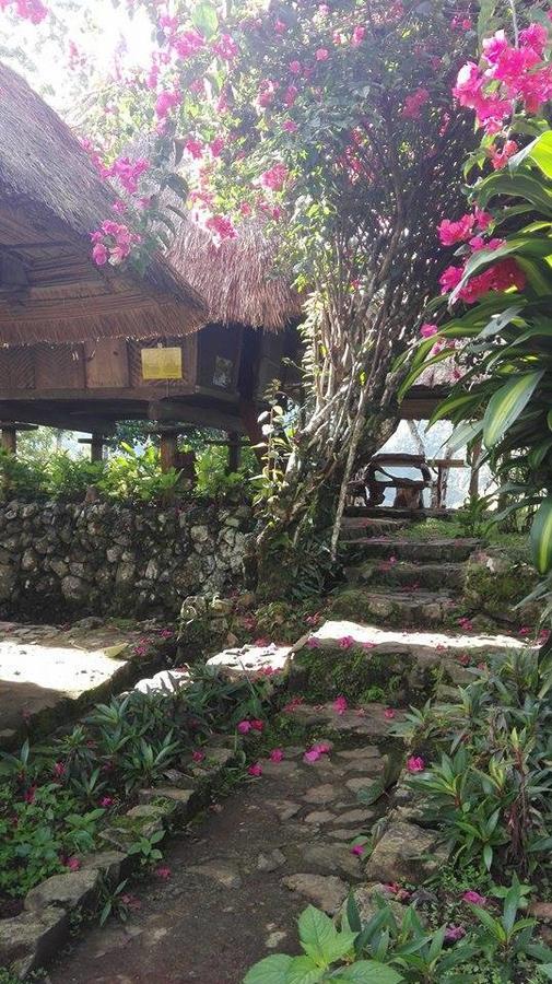 Native Village Inn Banaue Kültér fotó