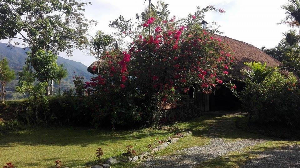Native Village Inn Banaue Kültér fotó