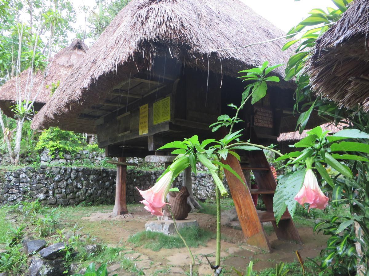 Native Village Inn Banaue Kültér fotó