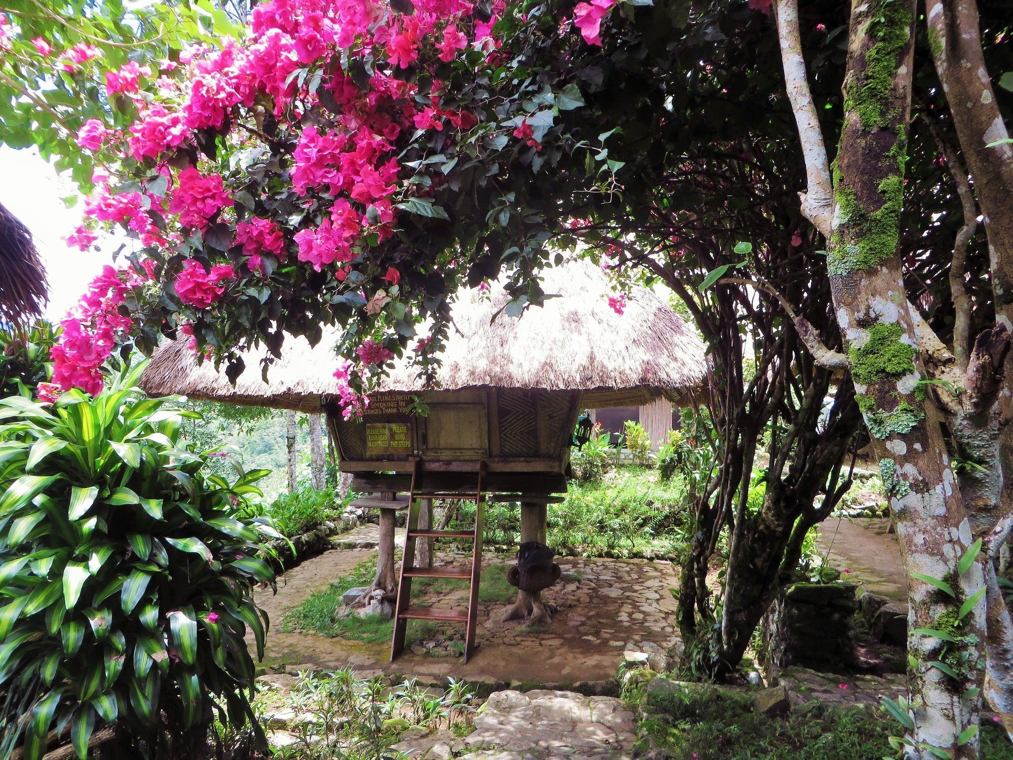 Native Village Inn Banaue Kültér fotó